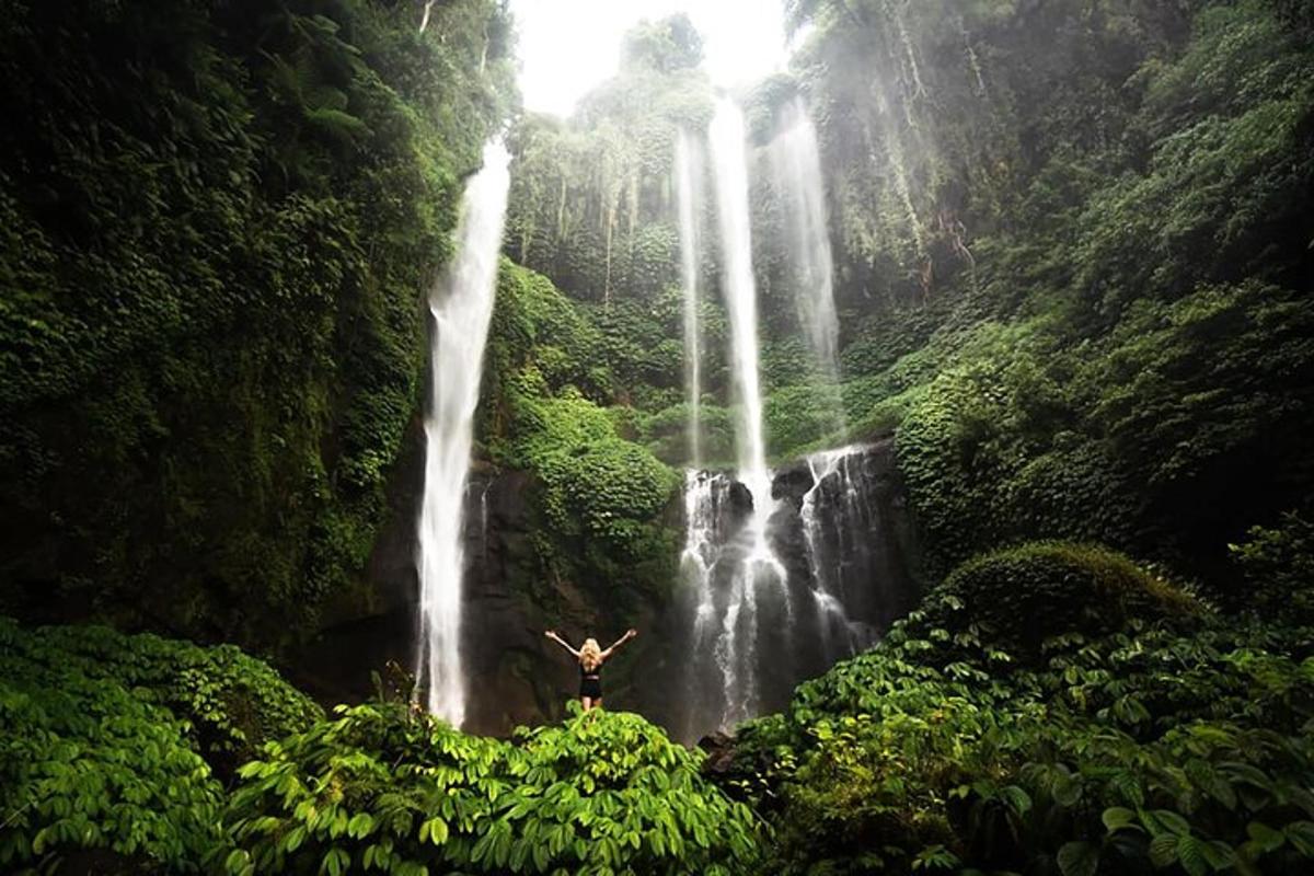 seseorang berdiri di depan air terjun
