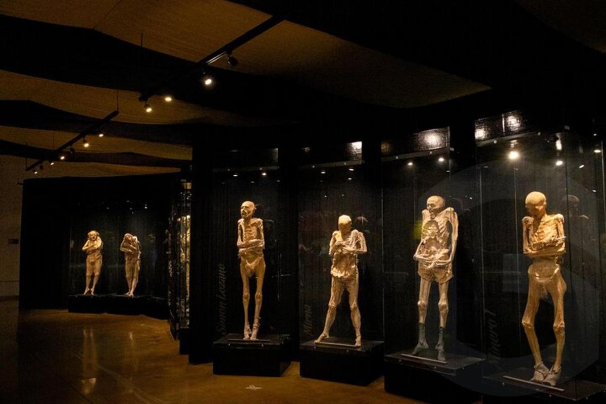 a group of mannequins in a display case