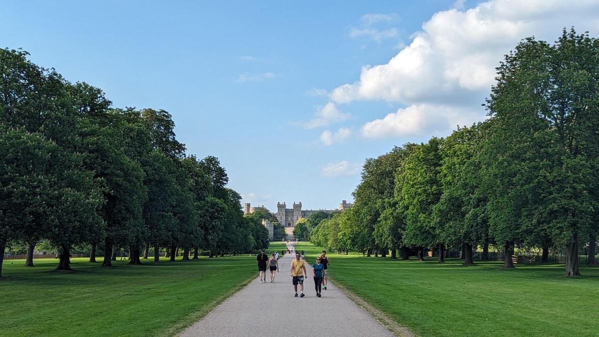 un groupe de personnes marchant sur un sentier dans un parc