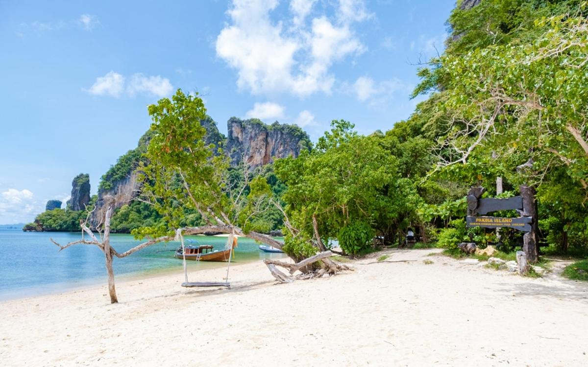 a beach with trees and a boat in the water