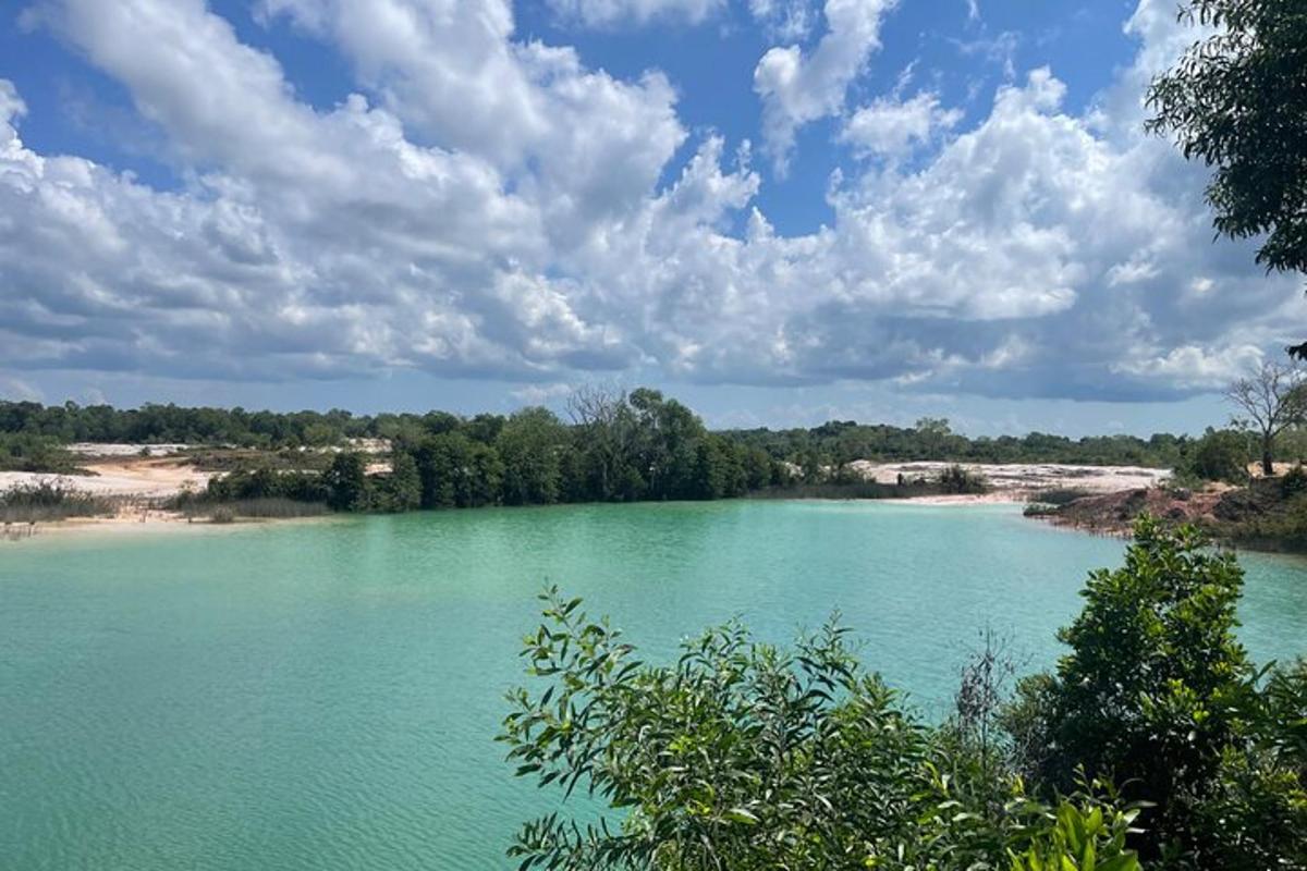 大片蓝色湖泊和树木的景色