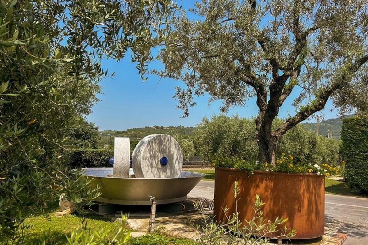 a bird bath sitting on the side of a road