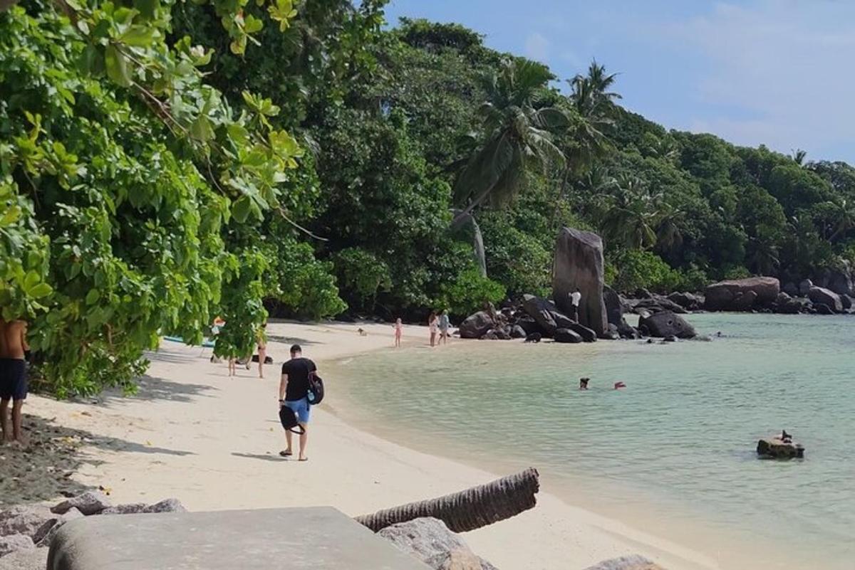 a man walking on a beach with people in the water