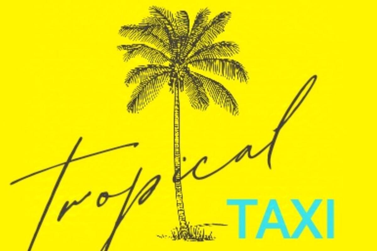 a palm tree on a yellow background with the words not tax