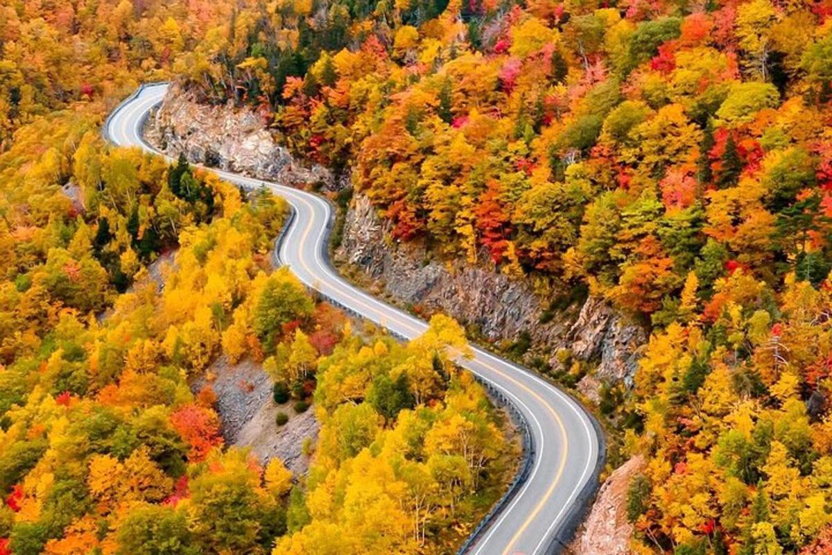 a winding road in the middle of a forest