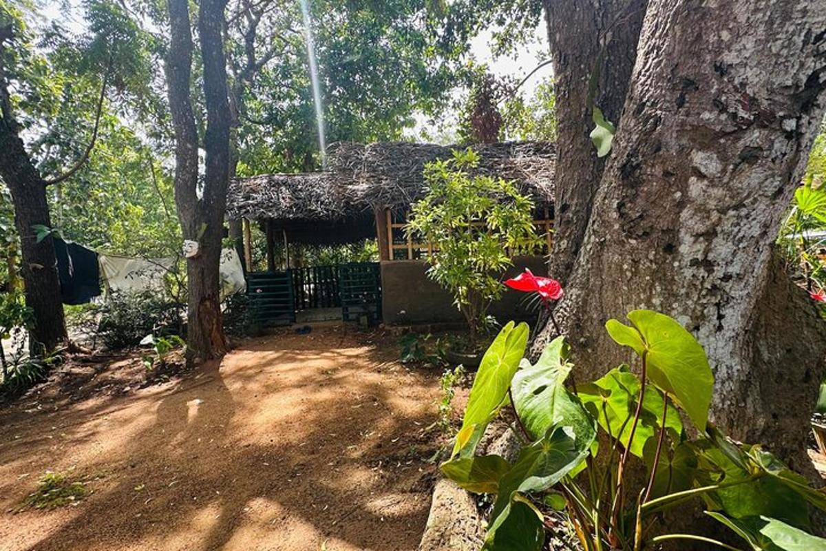 malý dům uprostřed lesa