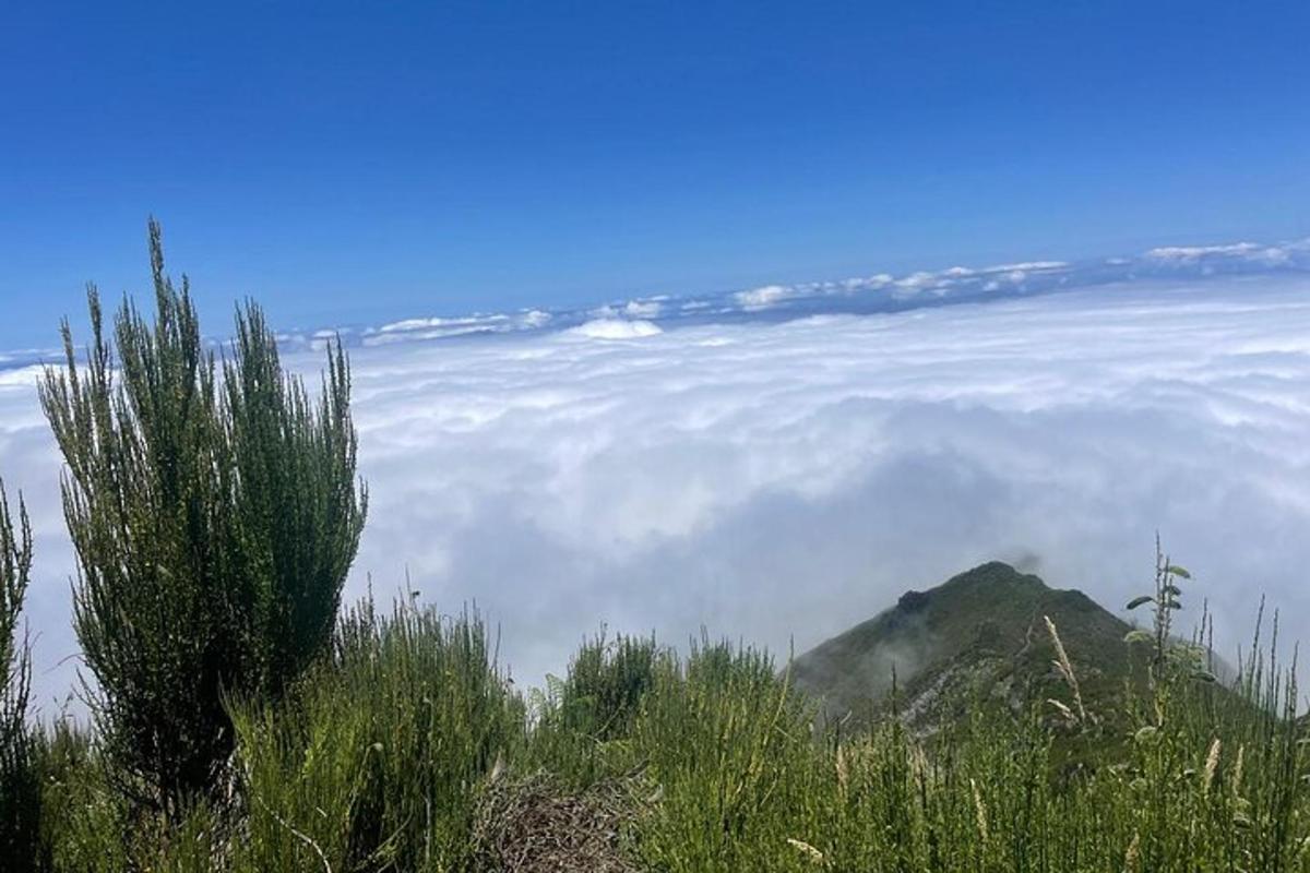 a view of a mountain in the clouds