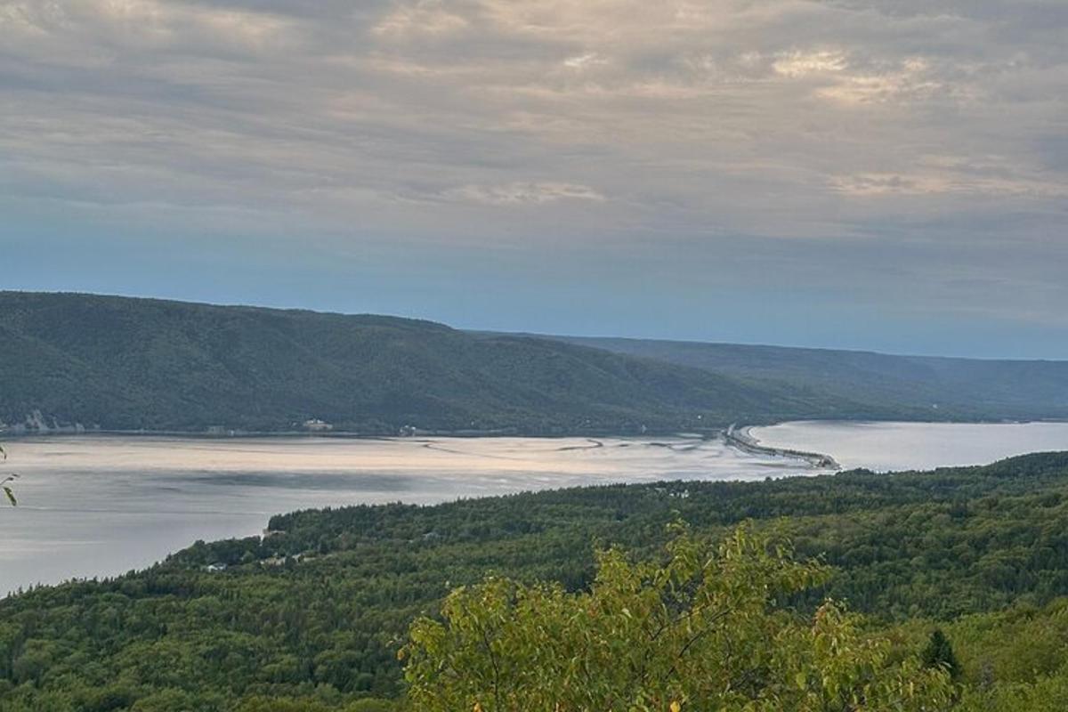 树木环绕的水景