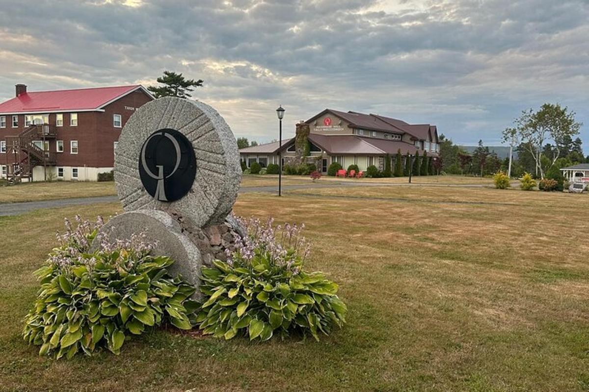 socha uprostřed pole s květinami