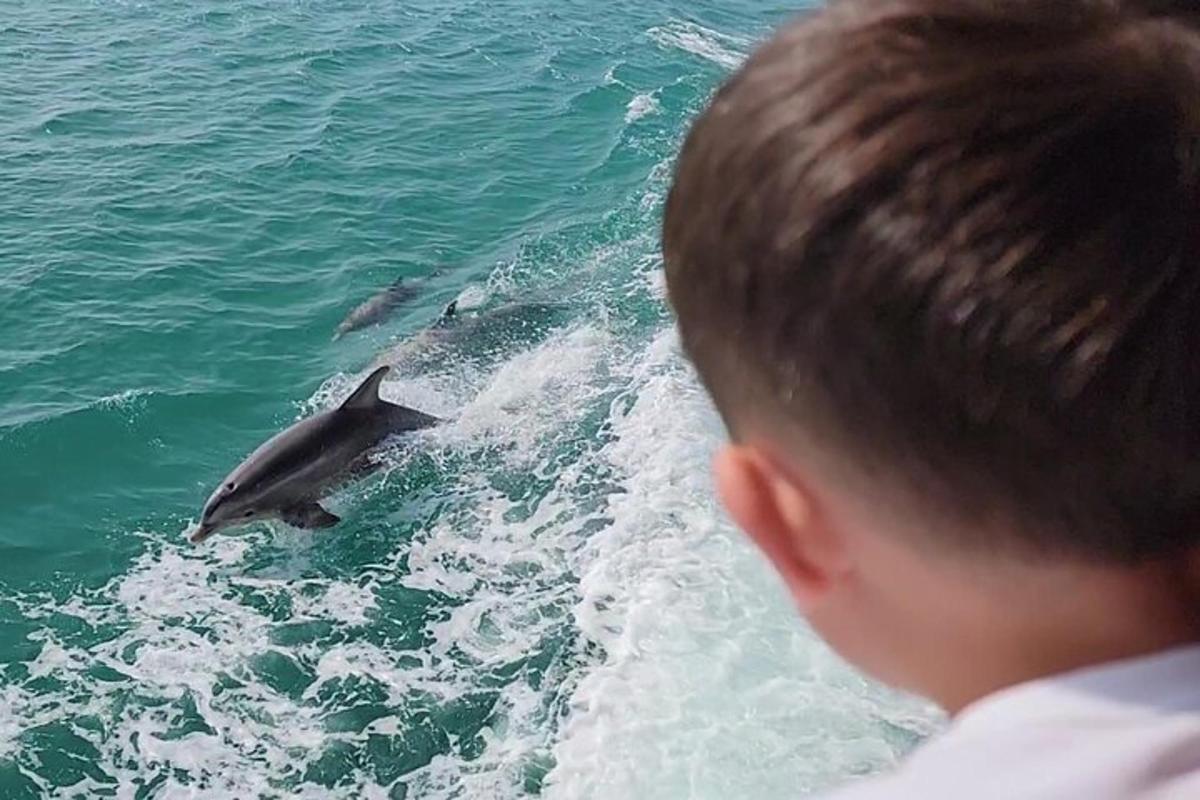a young boy looking at a dolphin in the water
