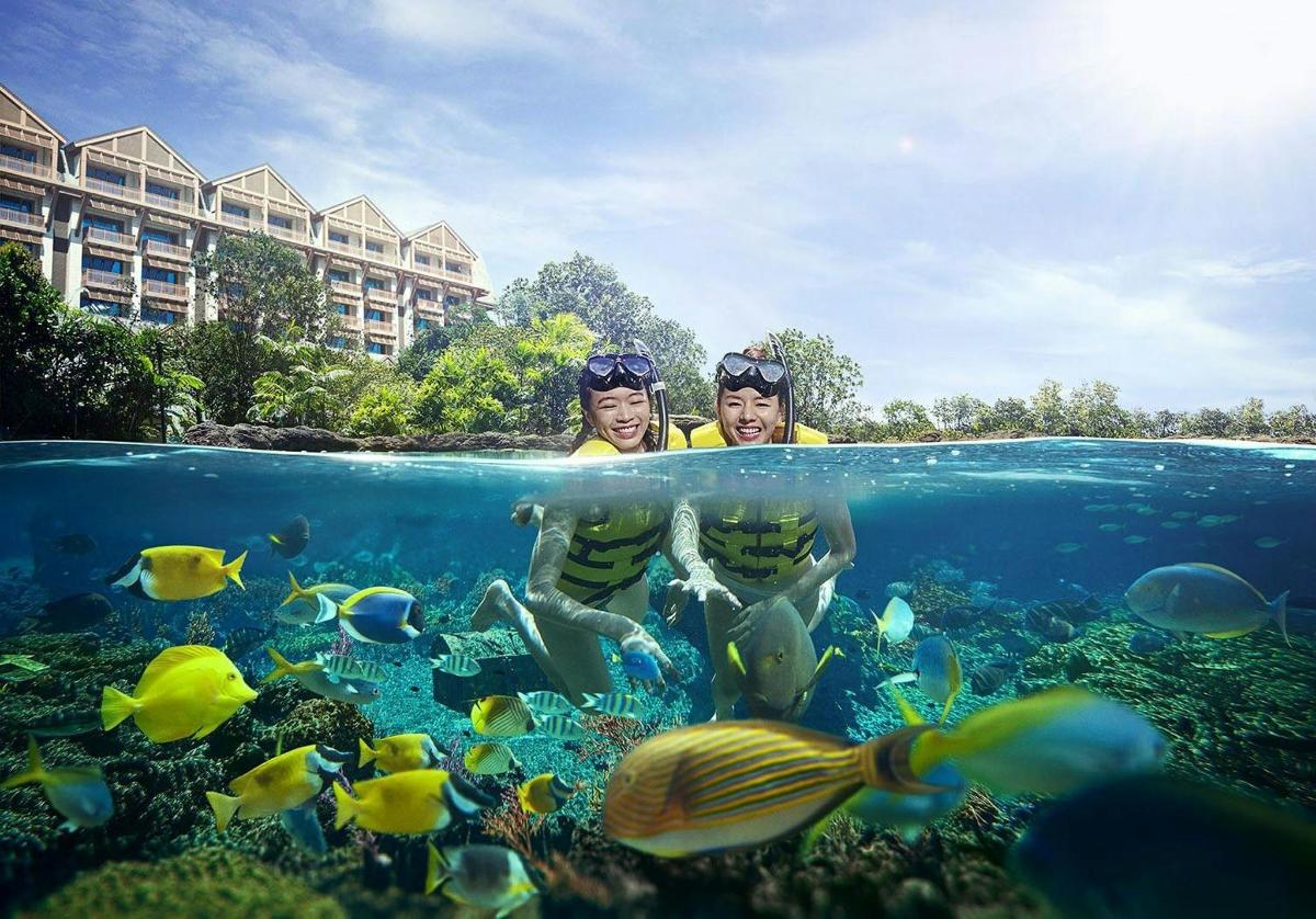 two people swimming in the water with fish