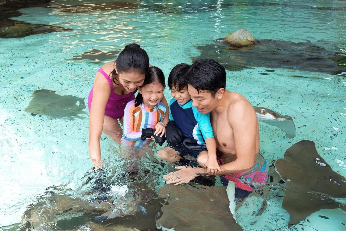 a family playing with a hippo in the water