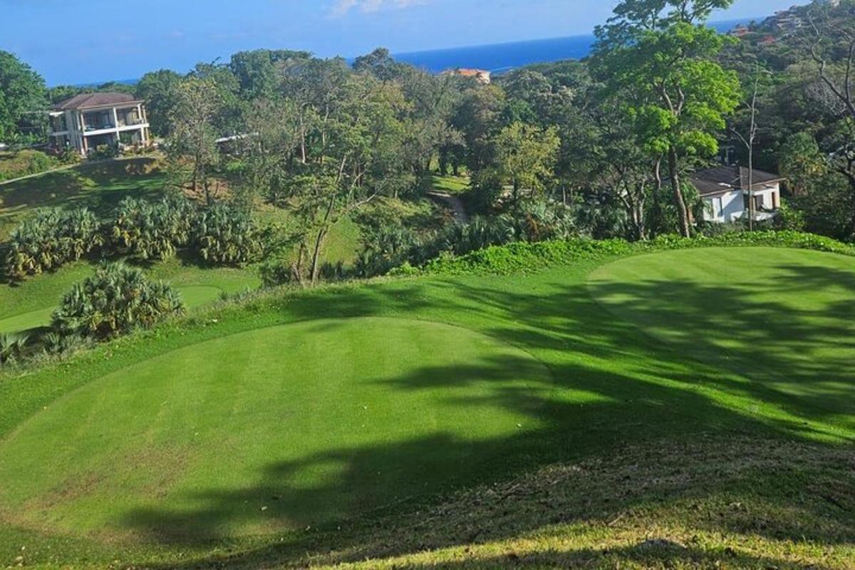 a shadow of a tree on a golf course
