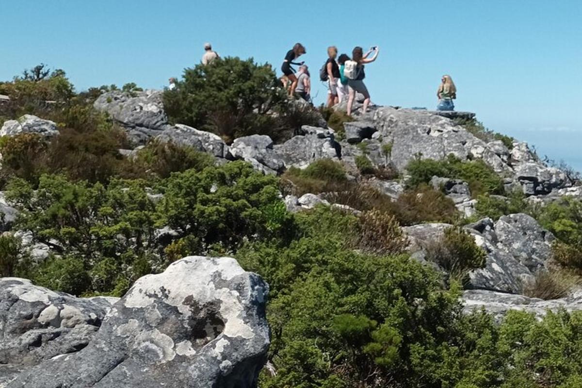 a group of people standing on top of a mountain