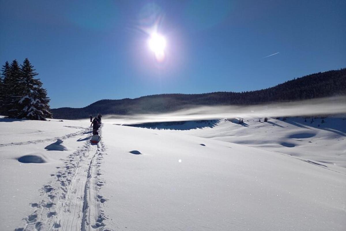 a person riding a bike in the snow