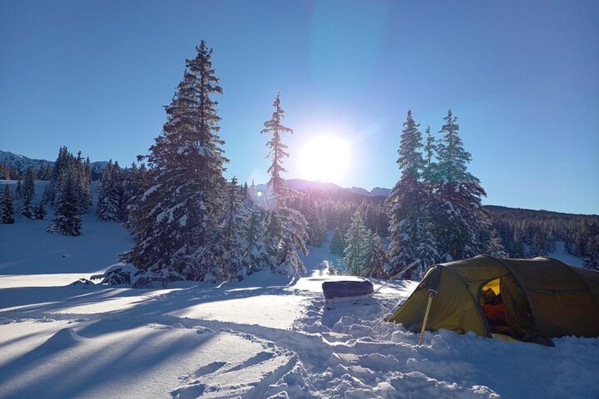 a tent in the snow next to some trees