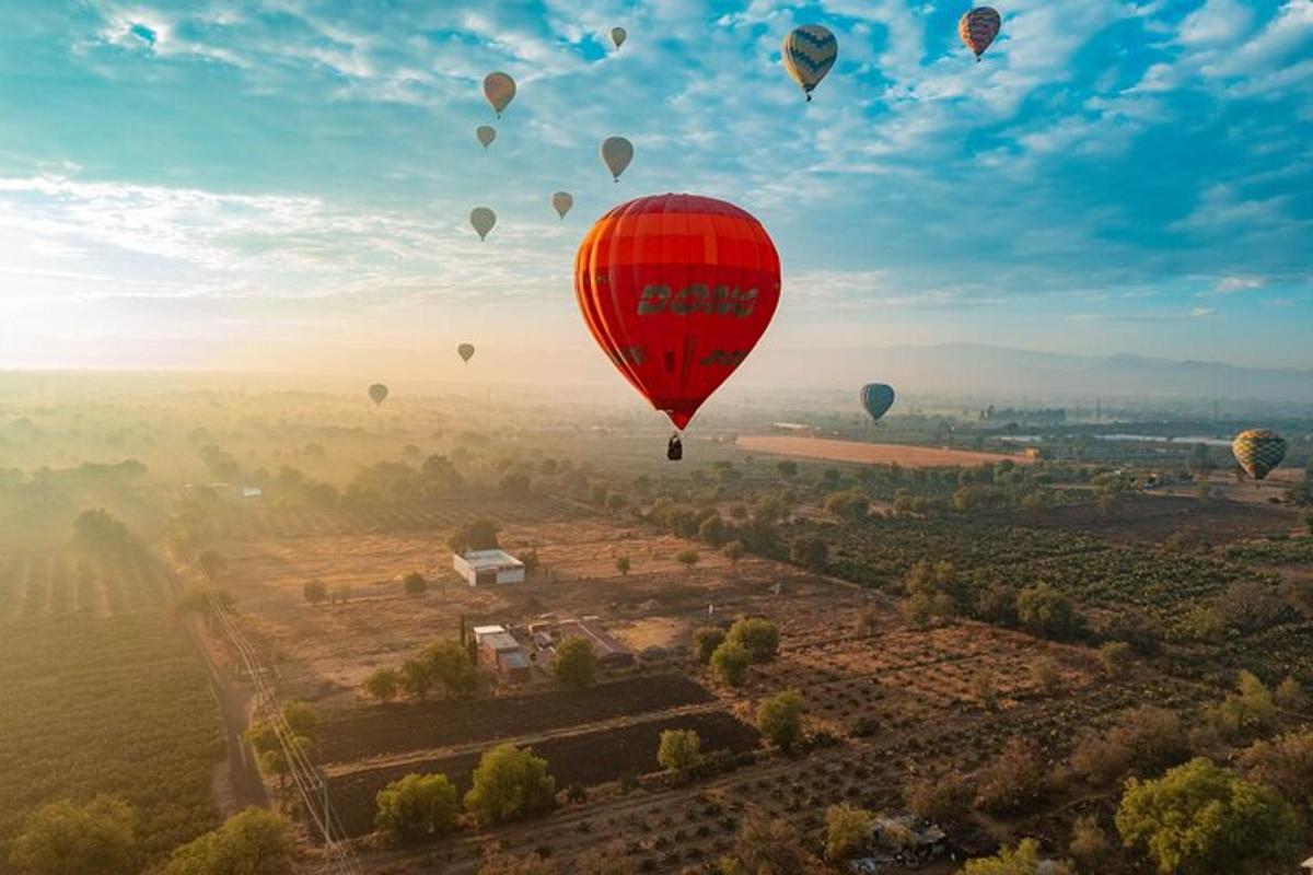 a group of hot air balloons flying in the sky