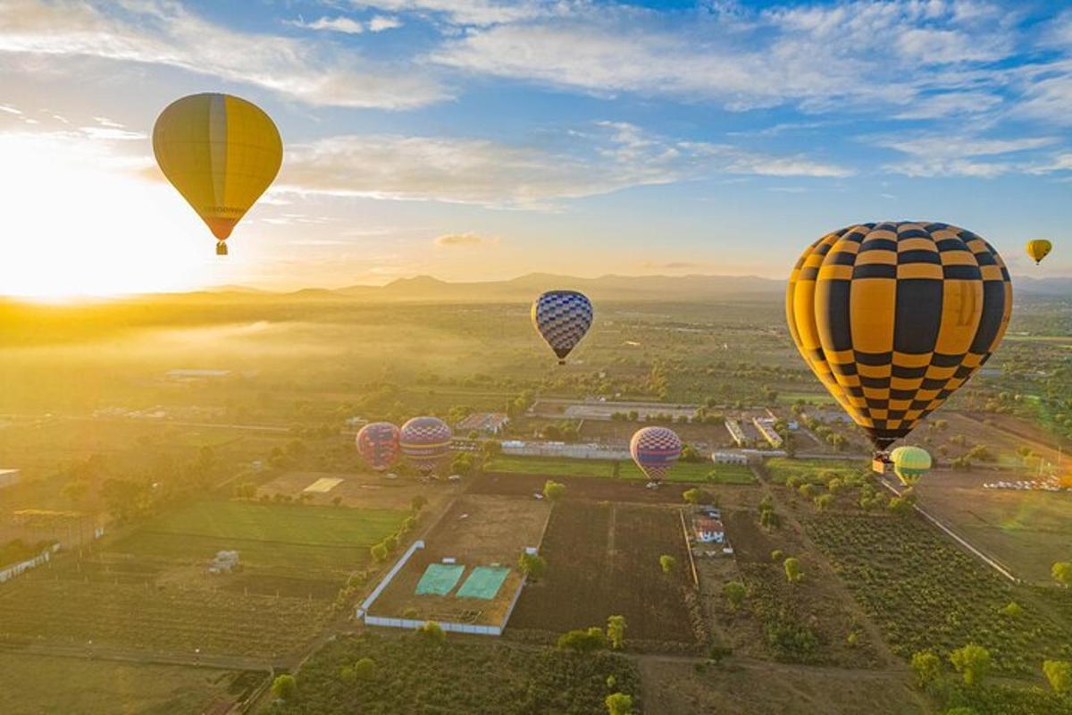 a group of hot air balloons flying over a field