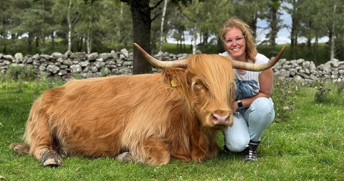 a woman is sitting next to a brown cow
