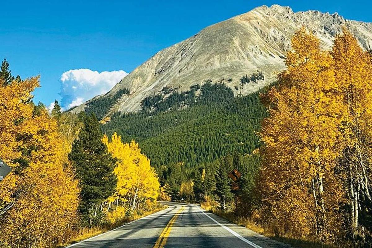an empty road with yellow trees and a mountain