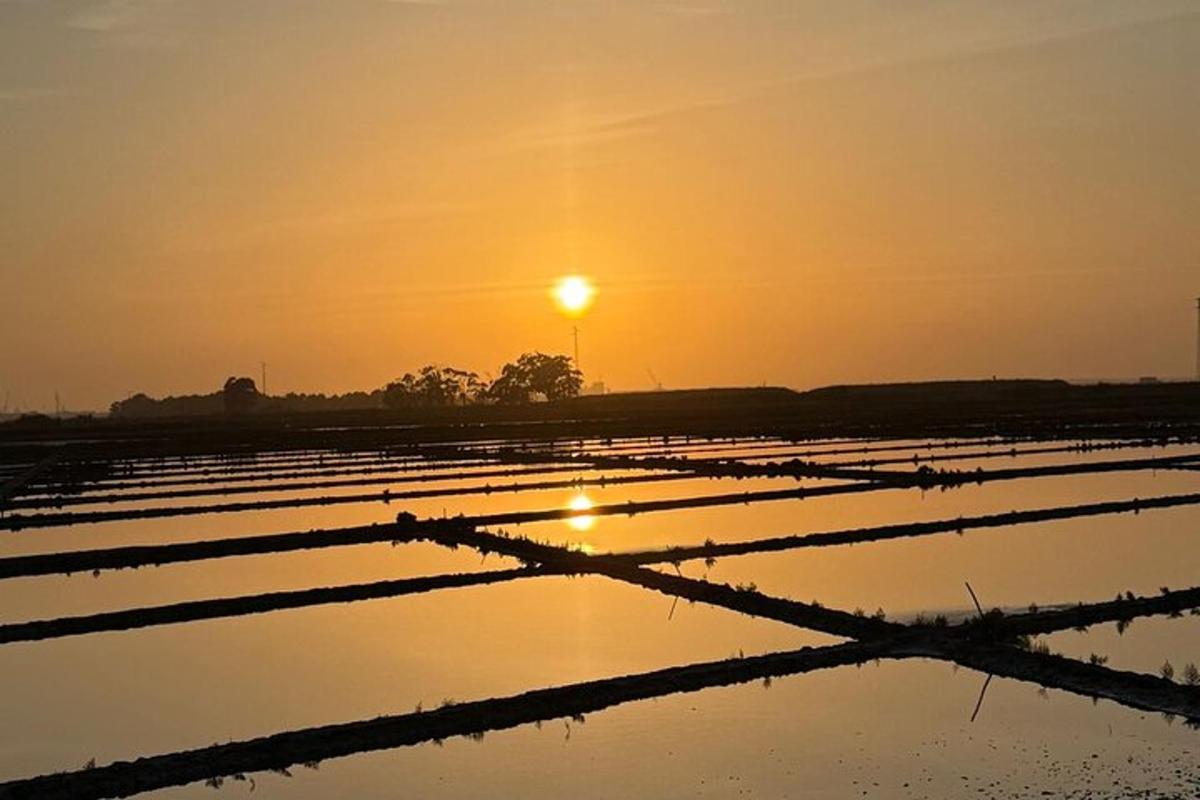 aivatedivated field with the sunset in the background