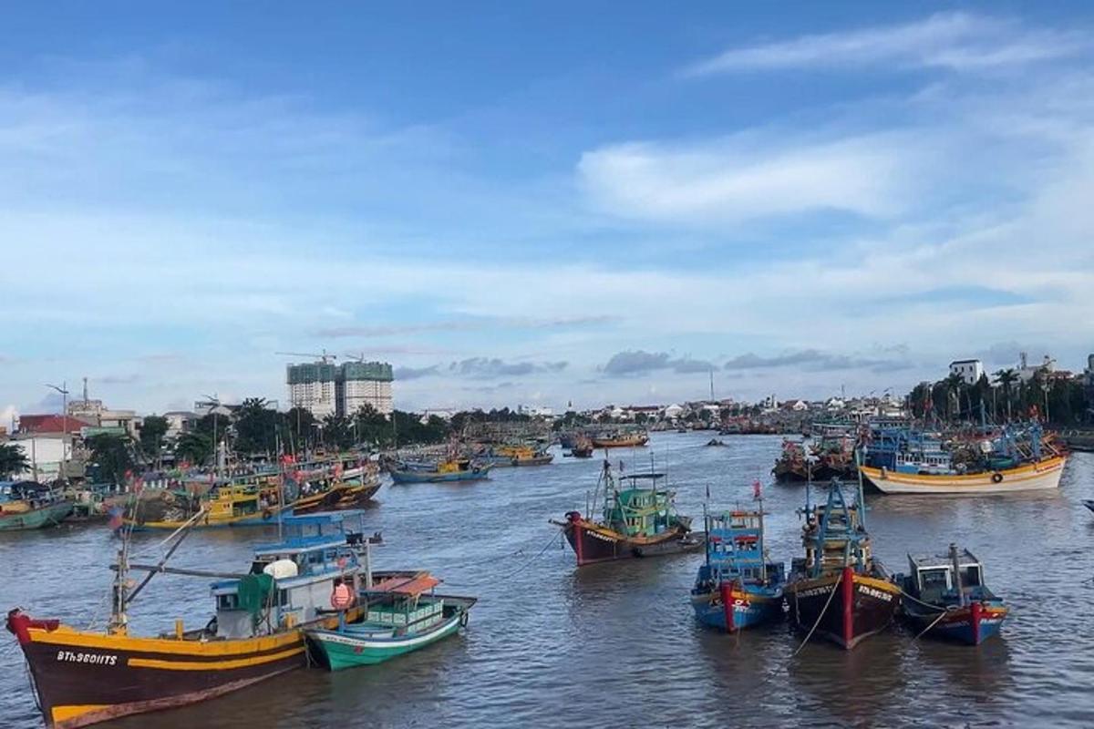một nhóm thuyền đang đậu trên mặt nước