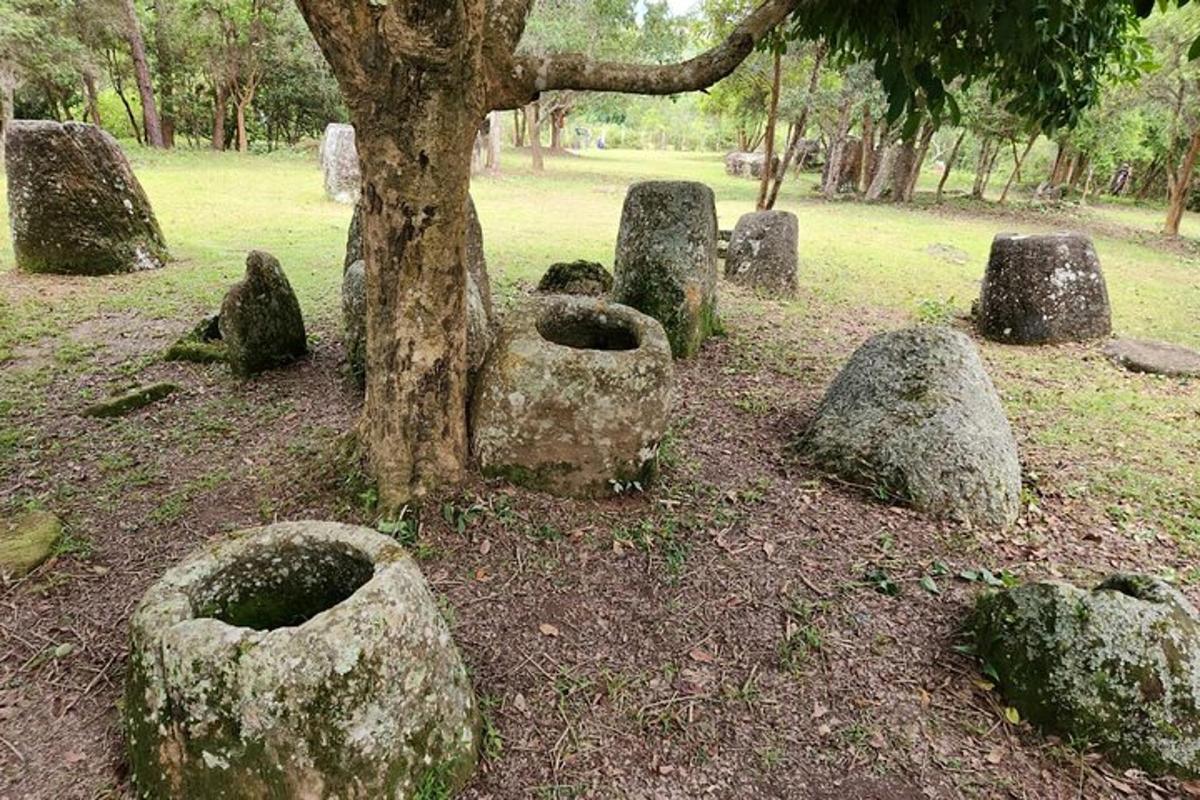 a group of rocks around a tree in a field