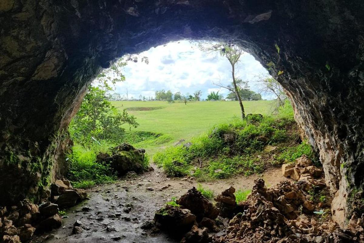 a cave with a view of a field from a river