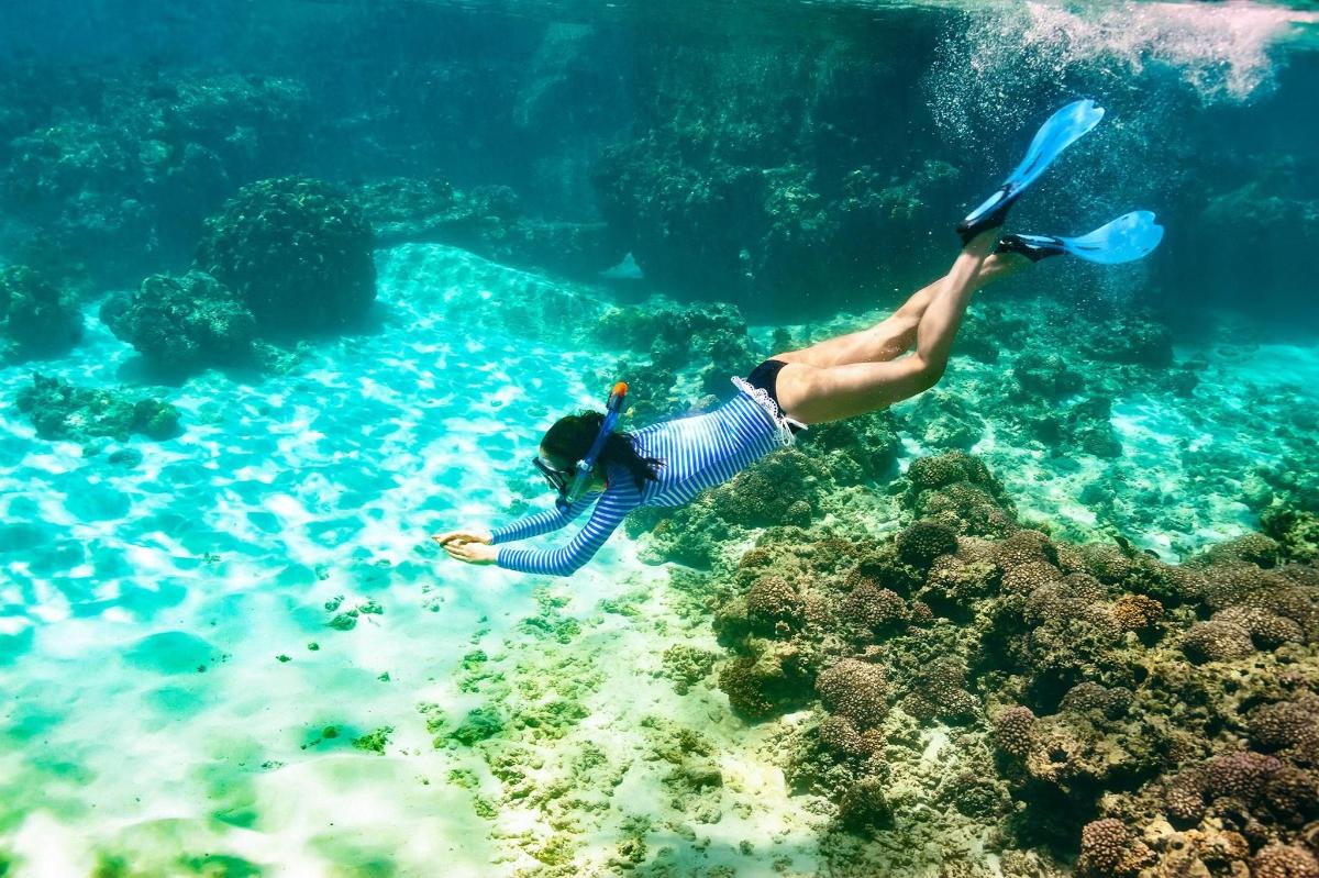 a person is swimming in the water near a reef