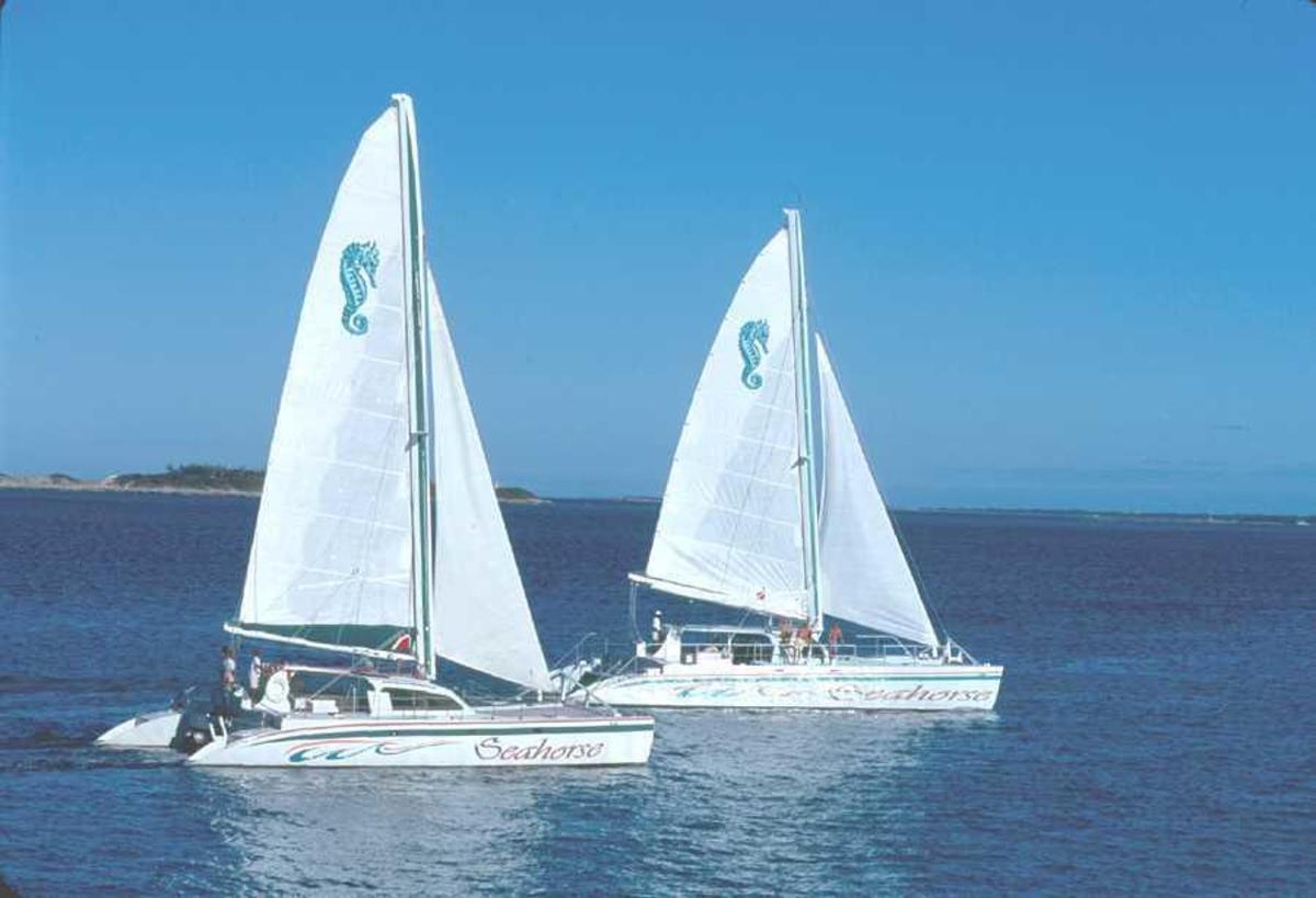 two sailboats in the ocean on the water