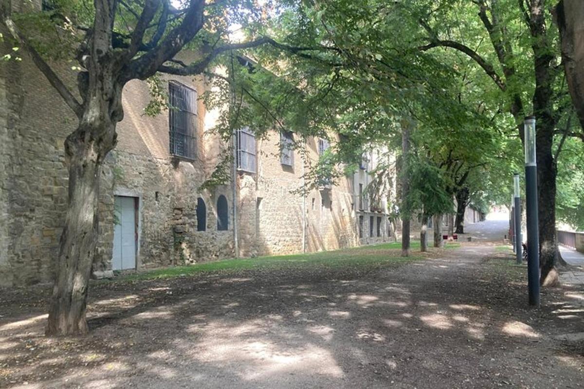 建筑物前的一条绿树成荫的街道