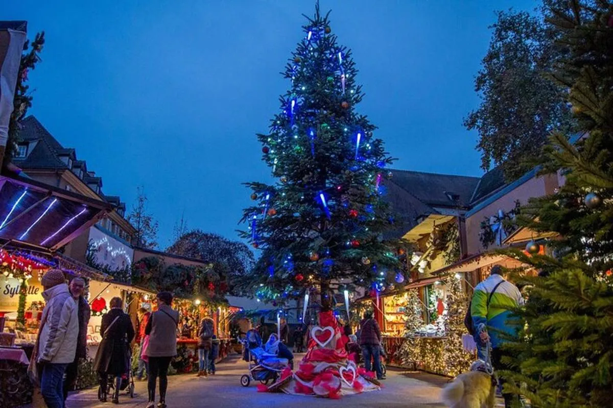 De Colmar : Visite des marchés de Noël et des villages d'Alsace en petit groupe – photo 4