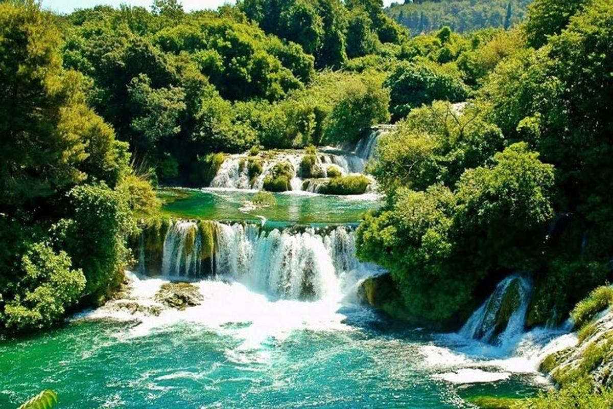 a group of falls in a river with trees