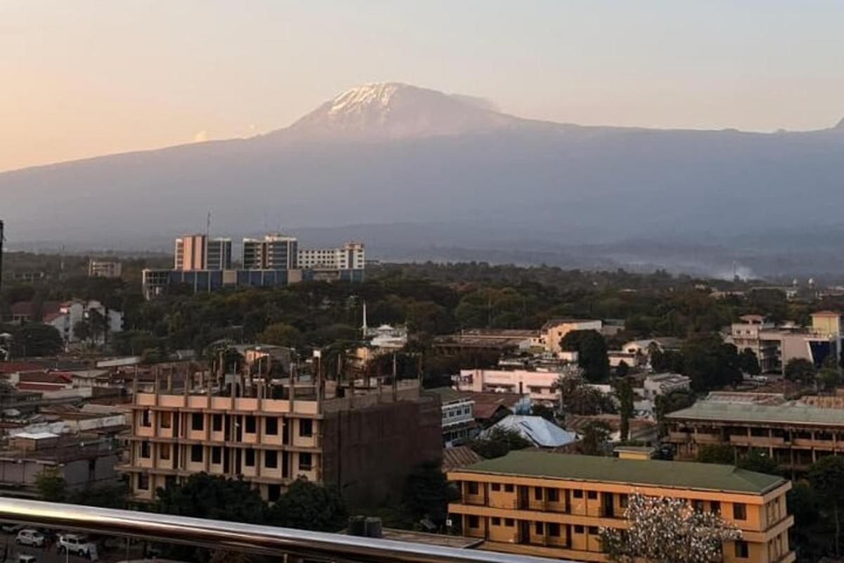 a view of a city with a mountain in the background