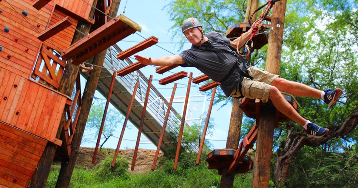 a man is climbing up a tree