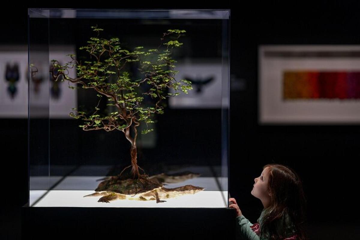 a little girl looking at a bonsai tree in a display