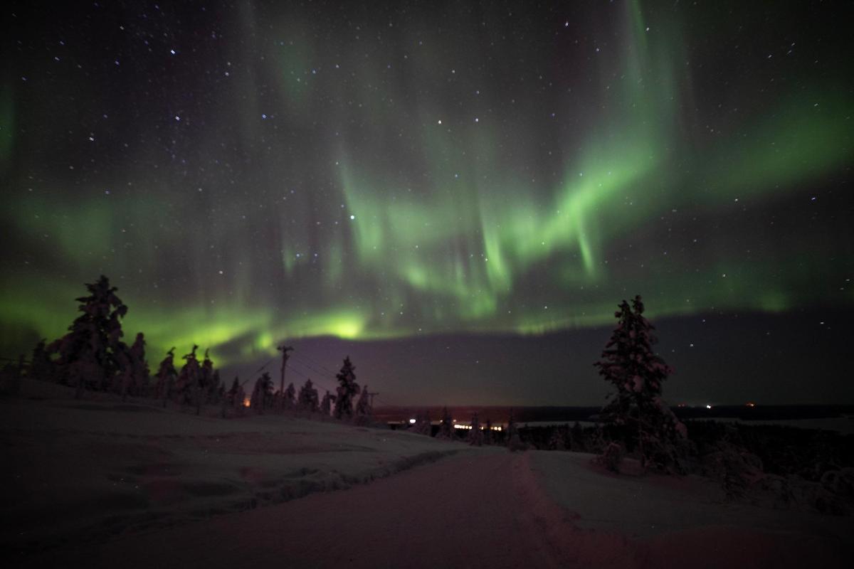 an aurora in the sky with trees in the snow