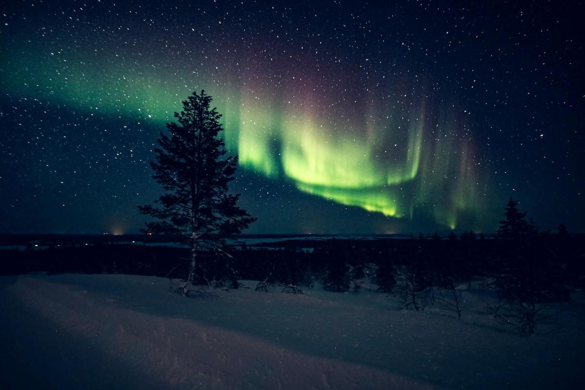 a starry sky with a tree and the northern lights