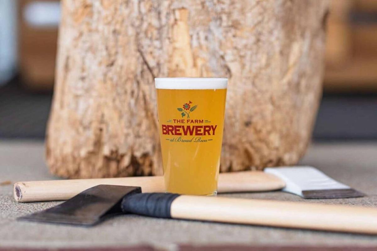 un got de cervesa i un bat de beisbol sobre una taula