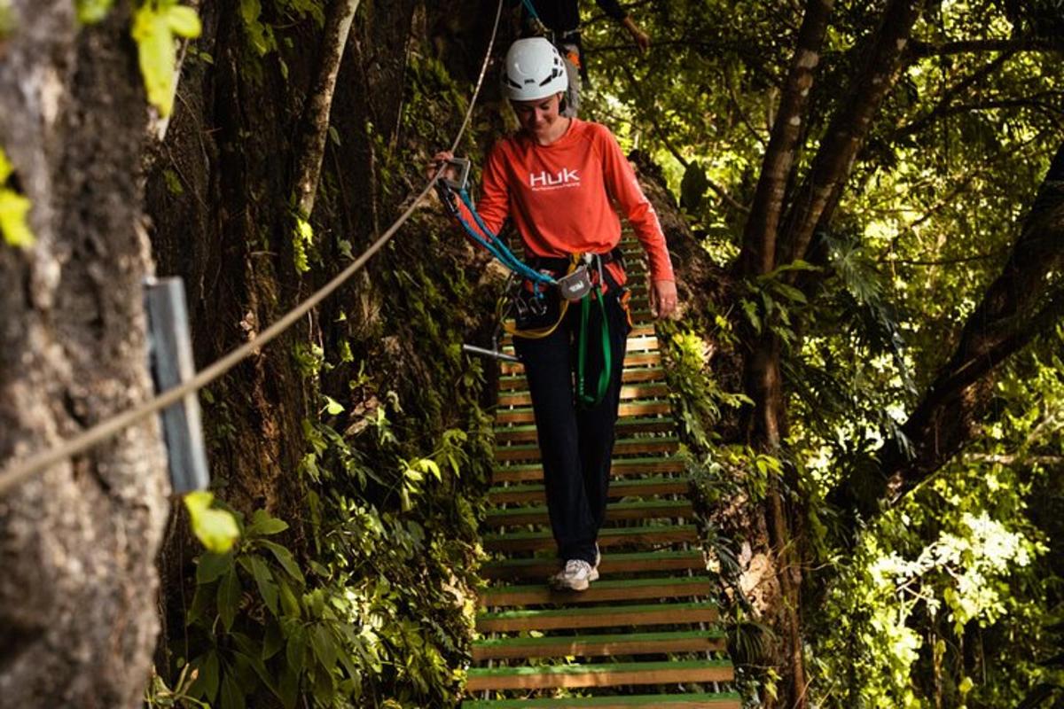 a woman walking on a rope bridge in the forest