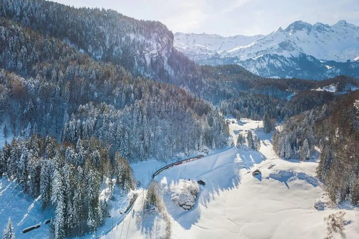 De Bâle : Train panoramique alpin, Berne Vieille ville UNESCO, Chocolats – photo 3
