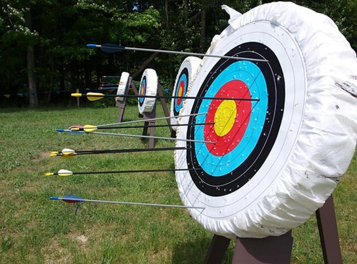 a target with arrows in the middle of a field
