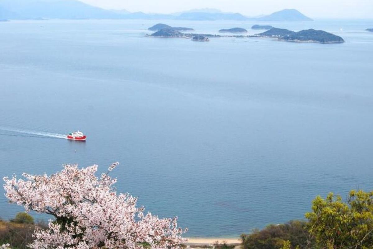 loď ve vodě se stromem v popředí