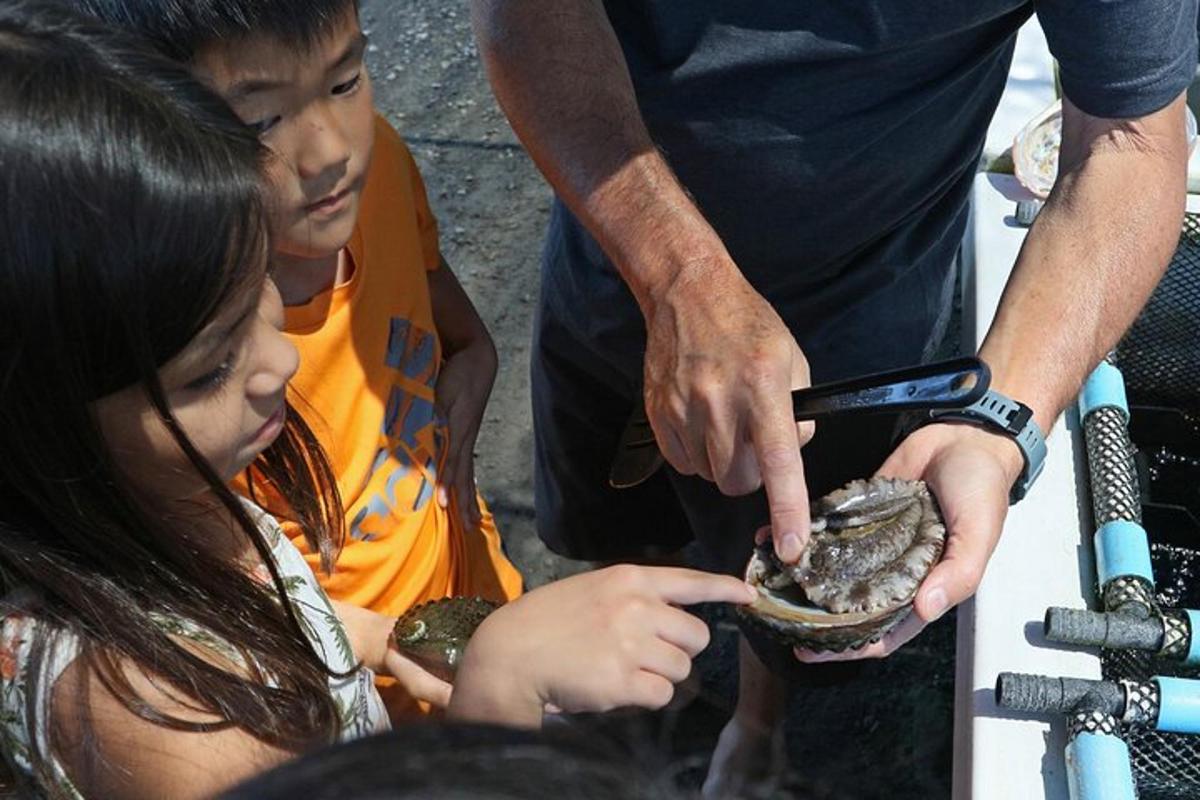 a man holding a turtle in a bowl with two children