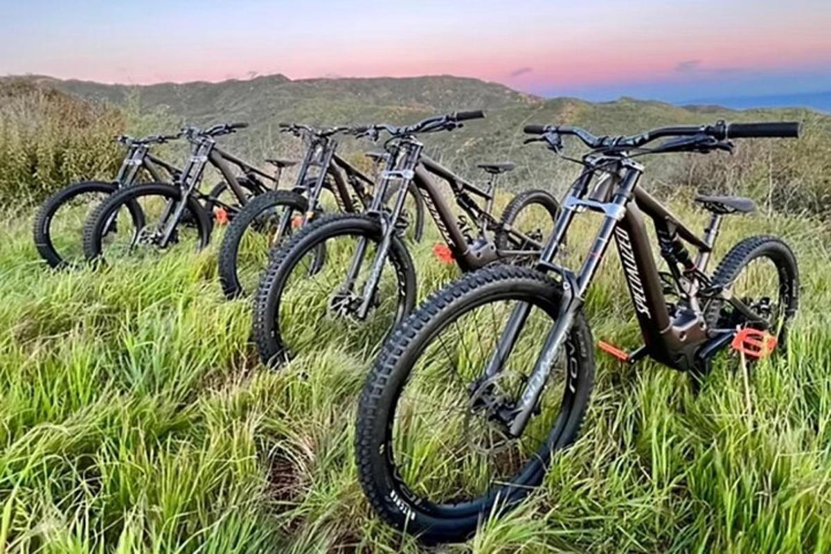 põllule pargitud jalgrataste rida