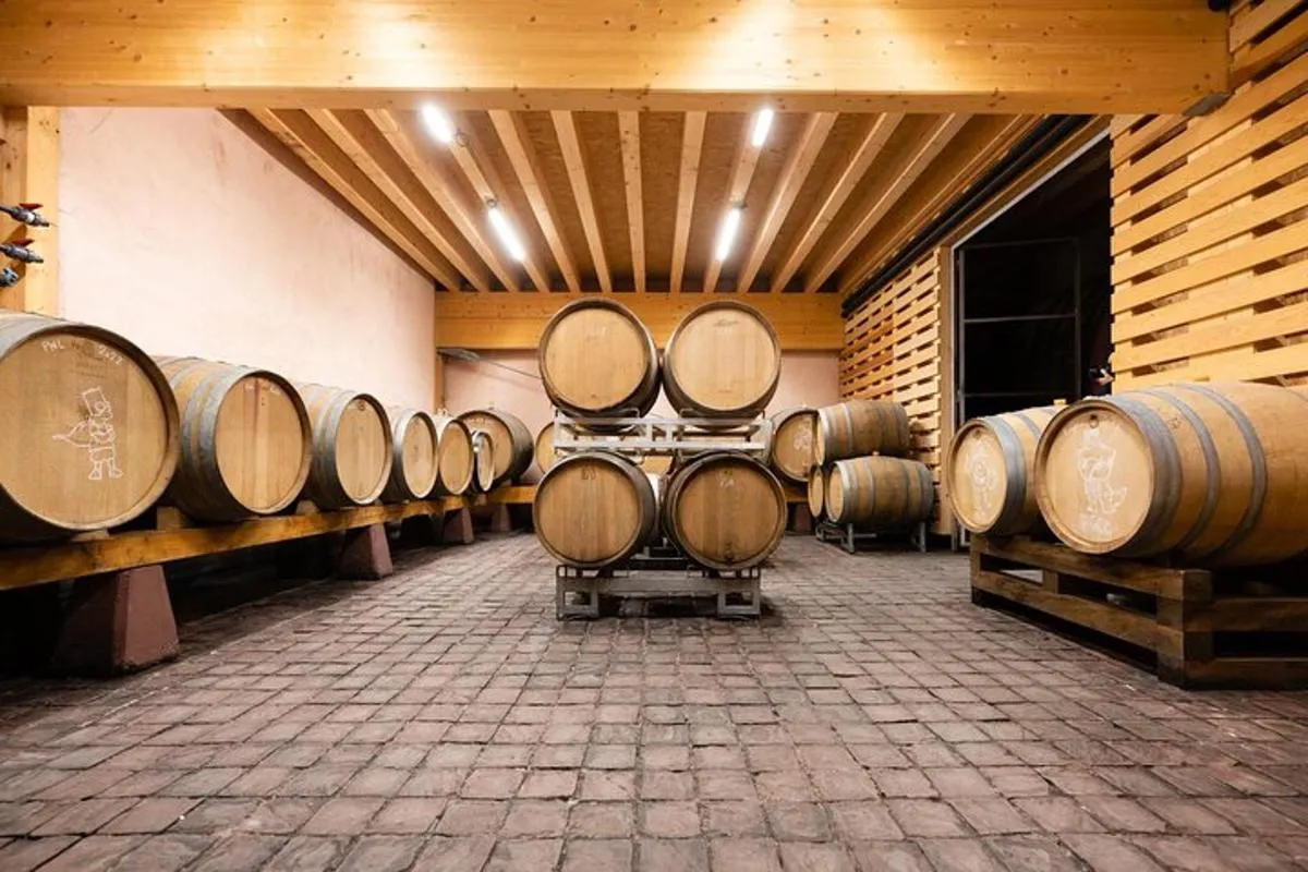 Alsace : Visite Chai Paille Unique/Dégustation Vins Biodynamiques – photo 4