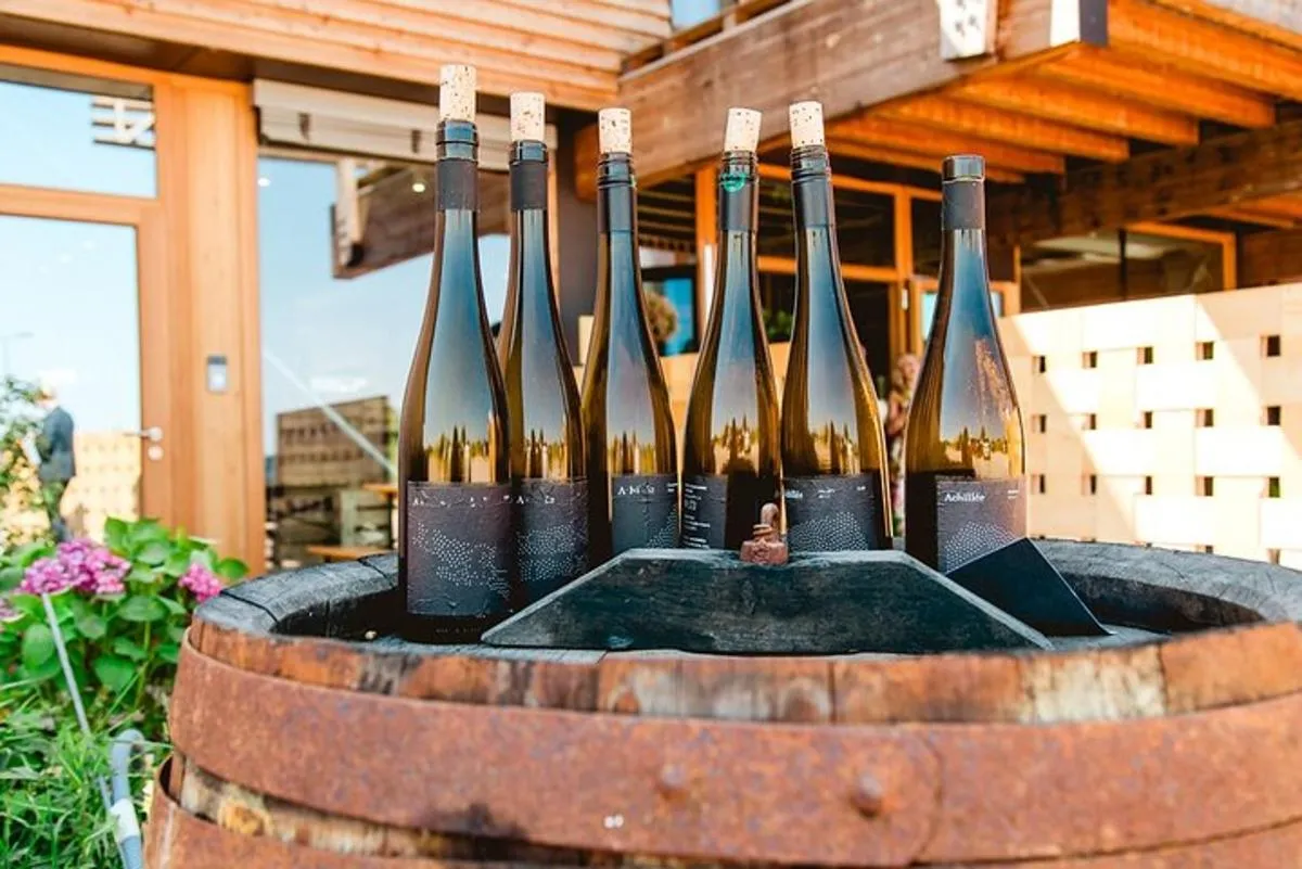 Alsace : Visite Chai Paille Unique/Dégustation Vins Biodynamiques – photo 7