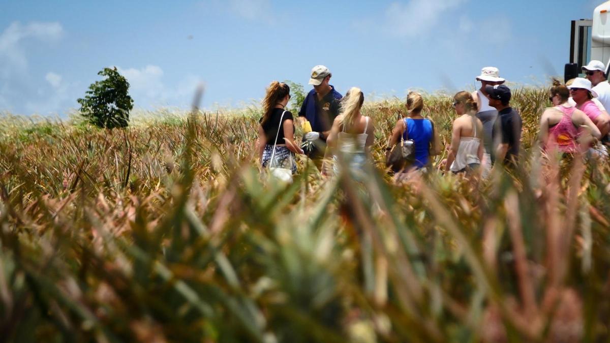 a group of people walking through a field