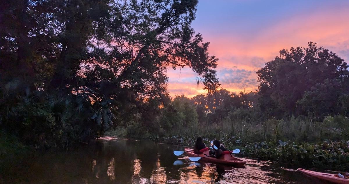 a group of people riding on kayaks on a river