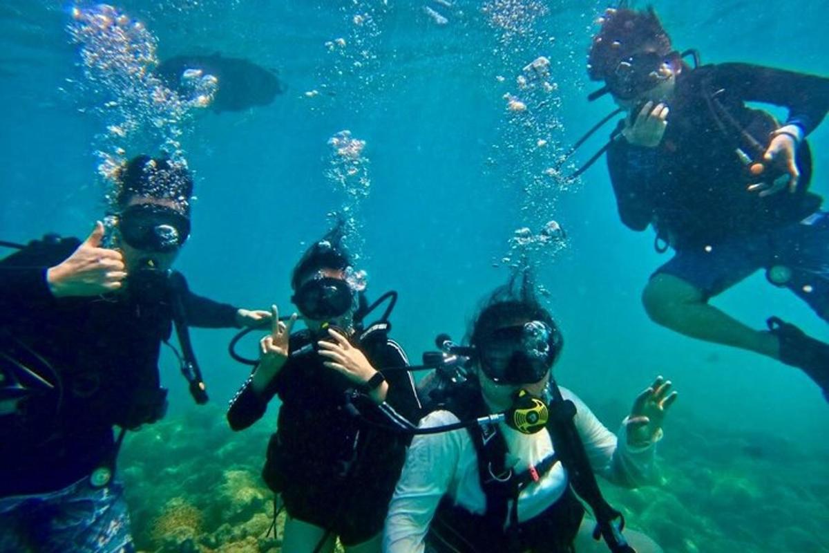 un grup de persones a l'aigua fent fotos